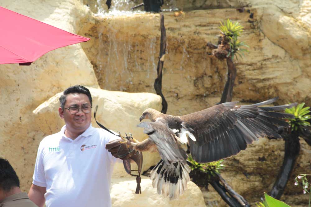 Jagat Satwa Nusantara Raptor Experience Jagat Satwa Nusantara